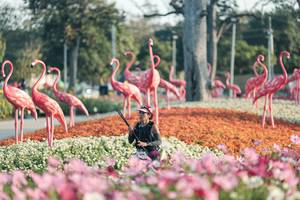 BIB: 
                            <button type="button" onclick="openModal(27344166)" class="btn btn-primary btn-sm float-right btn-popup" data-toggle="modal" data-target=".modal-high-quality">
                        <i class="fas fa-shopping-cart"></i> Add to Cart
                    </button>
                                            <button type="button" onclick="isThisMe(27344166, true)" class="btn btn-success btn-sm float-right btn-popup btn-isme hidden" data-toggle="tooltip" data-placement="bottom" title="นี่คือรูปของคุณใช่ไหม คลิกที่นี่เพื่อเอาเข้าอัลบั้ม">
                        <i class="fas fa-plus"></i> Add to album
                    </button>
                    <button type="button" onclick="isThisMe(27344166, false)" class="btn btn-warning btn-sm float-right btn-popup btn-isnotme hidden">
                        <i class="fas fa-ban"></i> Remove from album
                    </button>